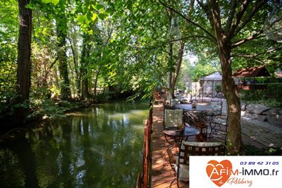 Rivière dans le parc de la Propriété à vendre  près Guebwiller en Haut-Rhin