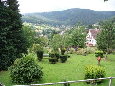 Jardin des Chambres d'hôtes à vendre à Wangenbourg Engenthal