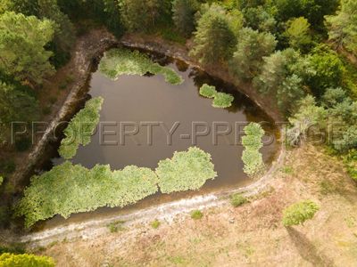 Jardin de la propriété avec Gîtes à vendre aux Eyzies De Tayac Sireuil, Dordogne