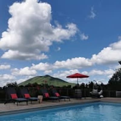 Piscine des Chambres d'hôtes et gîtes à vendre à Montory Pays basque
