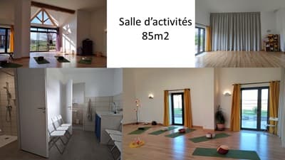 maison pricnipale et jardin des Chambres d'hôtes et gîte à vendre à Montpont-en-Bresse en Saône-et-Loire 