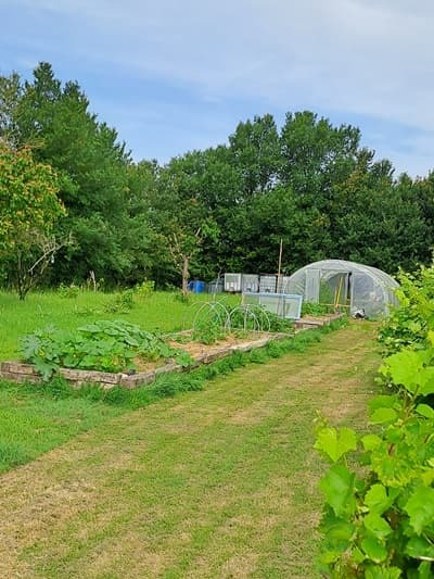 jardin et potager de la Propriété à aménager pour projet touristique à Muzillac en Morbihan