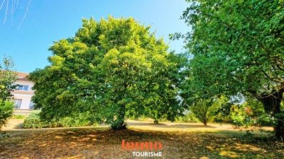 jardin de la Propriété avec gîte à vendre à Chaumont-sur-Loire en Loir-et-Cher