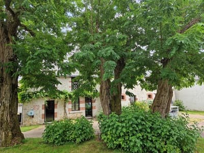 Jardin des Chambres d'hôtes / gîtes à vendre à Vineuil en Loir-et-Cher