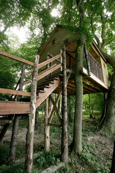 cabane dans les arbres de la Propriété avec gîte de groupes et insolite à vendre au lac du Der en Champagne