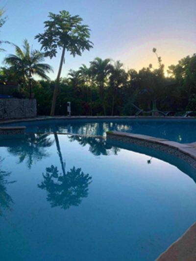 Piscine des Chambres d'hôtes et gîtes à vendre à Sainte-Rose à la Réunion