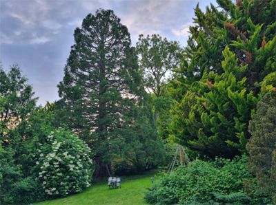 jardin du Lieu touristique à vendre entre Paris et Reims en Île-de-France
