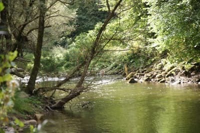 lac des Chambres d’hôtes à vendre à Banassac en Lozère