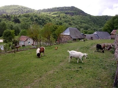 vue depuis les prés du hameau avec Chambres d’hôtes à vendre à Banassac en Lozère