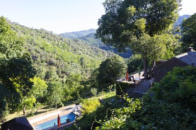 piscine des Chambres d'hôtes à vendre à Ventalon en Cévennes en Lozère