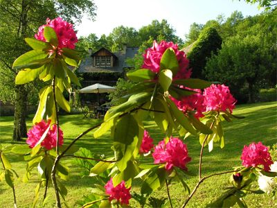 Jardin du Hameau avec 2 gîtes à vendre à Oust en Ariège