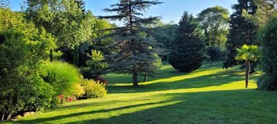 Grand parc des Chambres d'hôtes à vendre à Théminettes dans le Lot