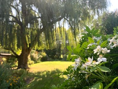 Jardin des Chambres d'hôtes à vendre près Gisors dans l'Eure