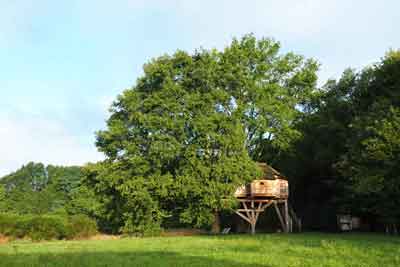 Une cabane d'hôtes à vendre à St-Mard-de-Reno dans l'Orne