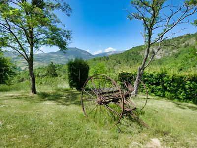 jardin des Chambres d'hôtes et gîte à vendre en Haute Provence