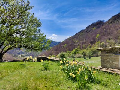 Jardin des Chambres d'hôtes et gîte à vendre à Dieulefit dans la Drôme