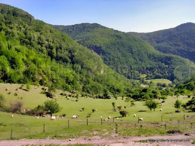 Nature préservée autour des Chambres d'hôtes et gîte à vendre à Dieulefit dans la Drôme