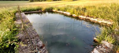 Jardin de la Propriété à vendre à Régusse dans le Var