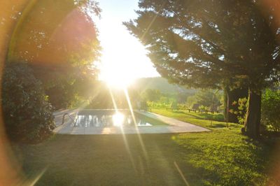 piscine des Chambres d'hôtes à vendre à Puyvert en Vaucluse