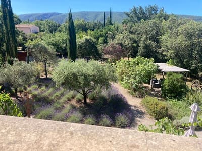 jardin des Chambres d'hôtes à vendre à Lacoste en Luberon, Vaucluse