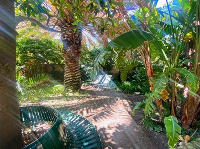 jardin des Chambres d'hôtes à vendre Calanques de Marseille