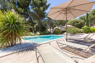piscine des Chambres d'hôtes et gîte à vendre à Puget en Vaucluse