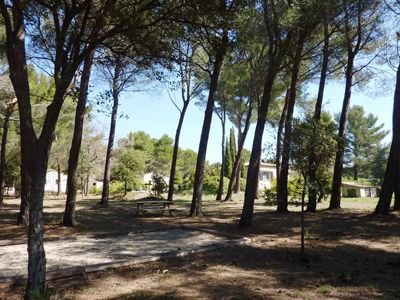 propriété avec deux hectares et Chambres d'hôtes et gîte à vendre à Puget en Vaucluse