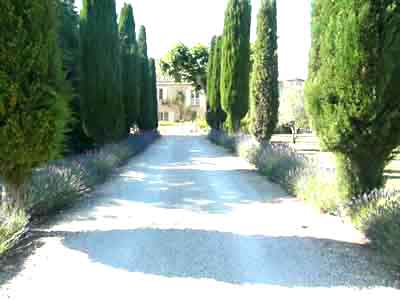 Parc des Chambres d'hôtes et gîtes à vendre aux Taillades en Vaucluse