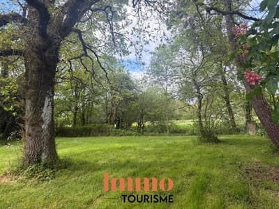 jardin du Gîte de groupe à vendre à Corcoue sur Logne près Nantes