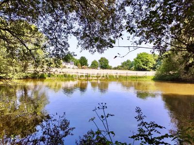 l'étang de la propriété  avec Chambres d'hôtes à vendre près de Châteaubriant en Loire-Atlantique
