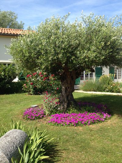 jardin des Gîte et chambres d'hôtes à vendre dans le Marais poitevin