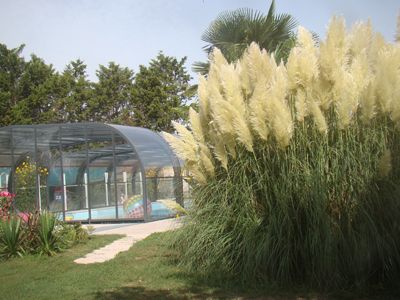 piscine couverte des Gîte et chambres d'hôtes à vendre dans le Marais poitevin
