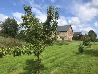 Chambres d'hôtes et gîtes à vendre à Eparcy dans l'Aisne