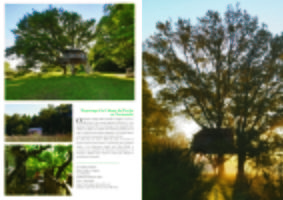 Reportage Chambres d'hôtes La Cabane du Perche à Saint-Mard-de-Réno
Orne - Normandie